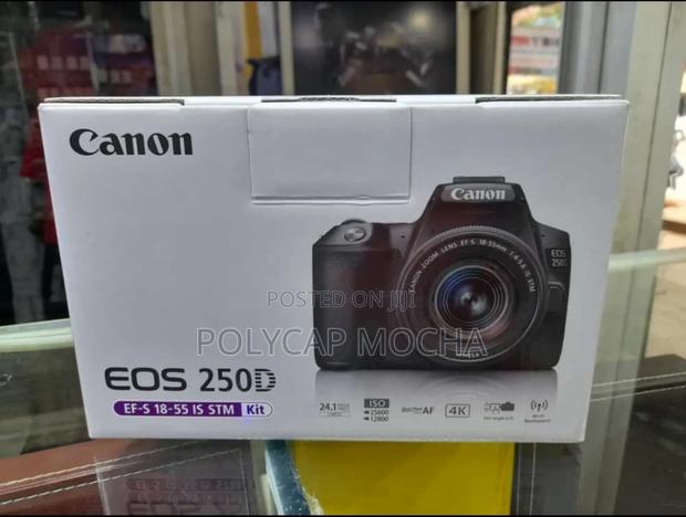 Canon Eos 250d DSLR Camera With 18-55mm F/4-5.6 Is STM Lens