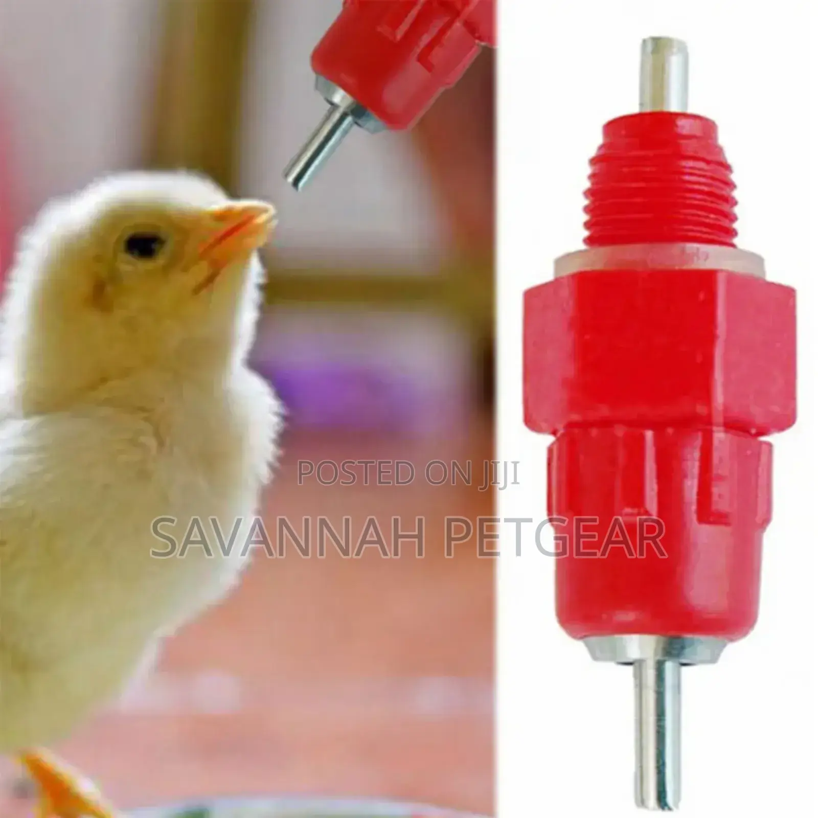 Best Selling Automatic Chicken Nipple Drinkers - Screw Type