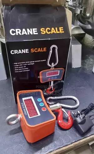 500kgs Crane Scales