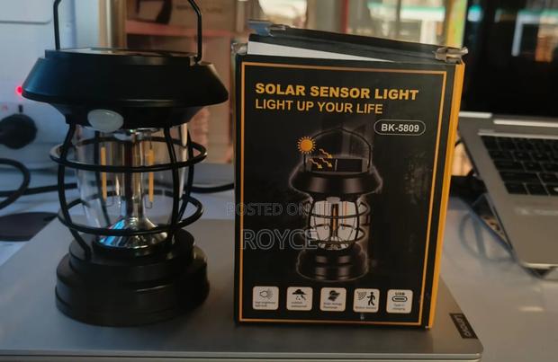 Solar Sensor Light - main view