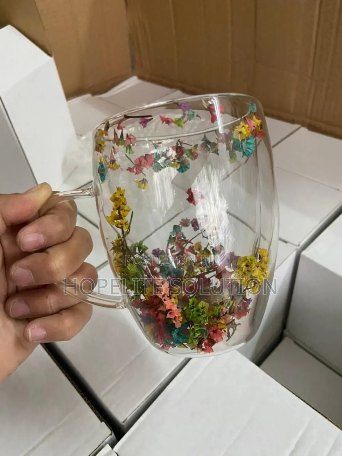 Insulated Double Walled Glass Cup