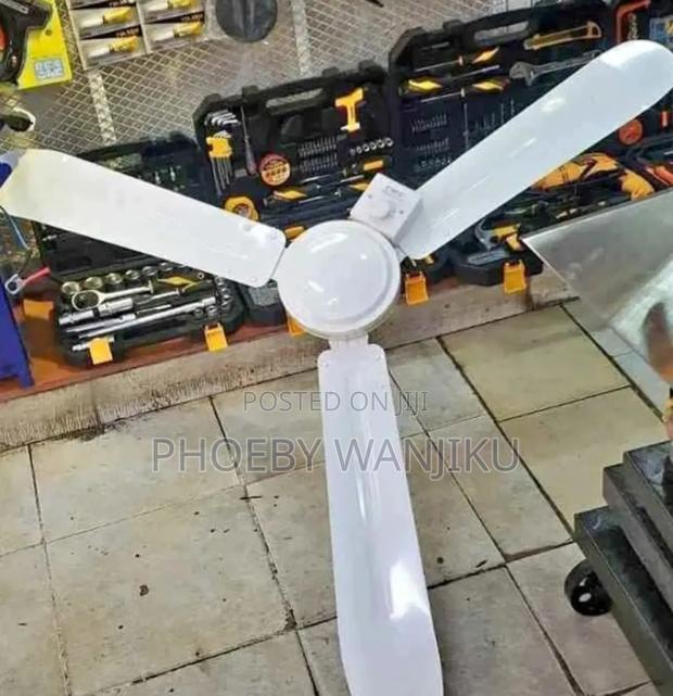Standard Ceiling Fan - main view