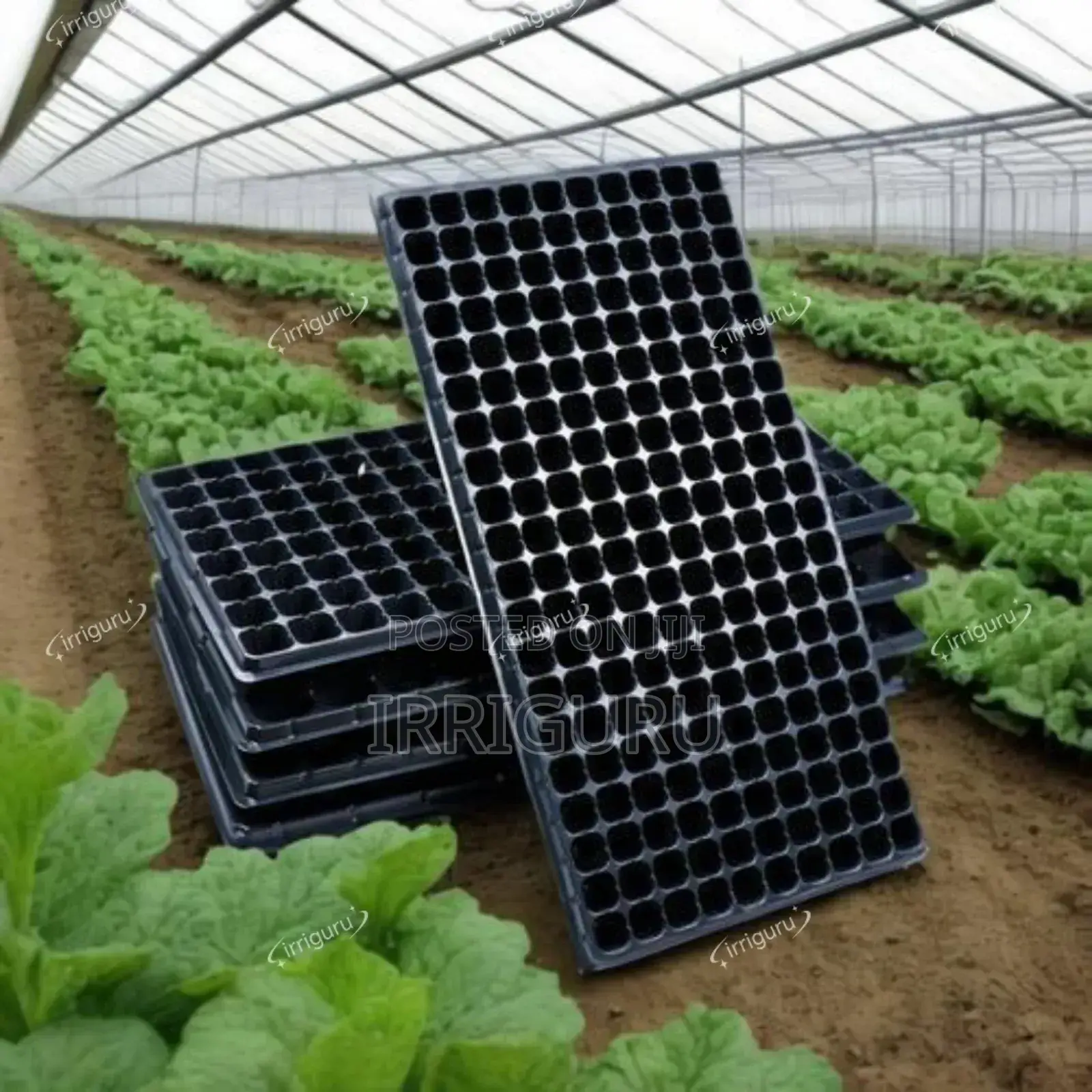 Flat Plastic Trays