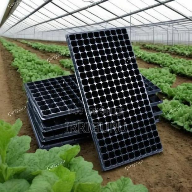 Flat Plastic Trays - main view