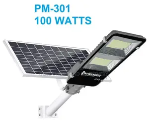 100watts Street Light Premier Brand