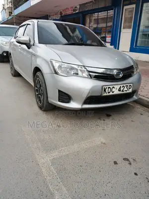 Toyota Axio 2013 Gray