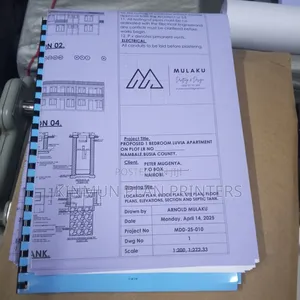 Architecture and Structural Blueprints and Survey Drawings