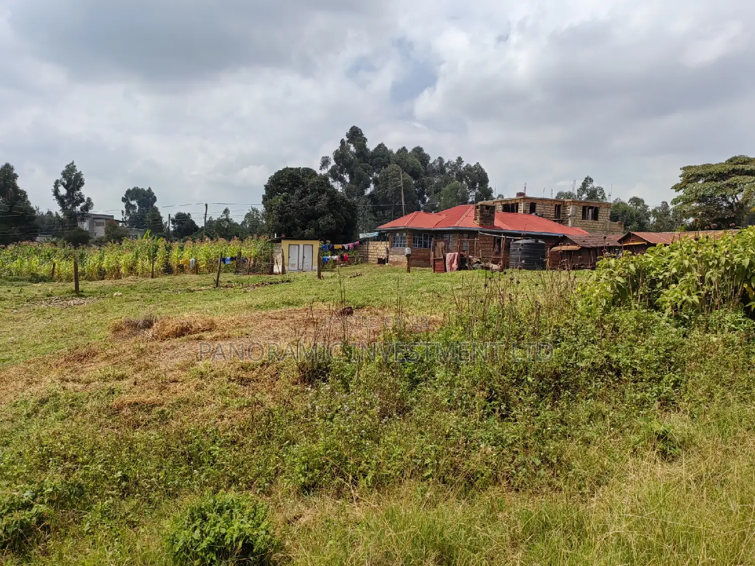 50x100 Plot in Lusegetti Kikuyu Kiambu.