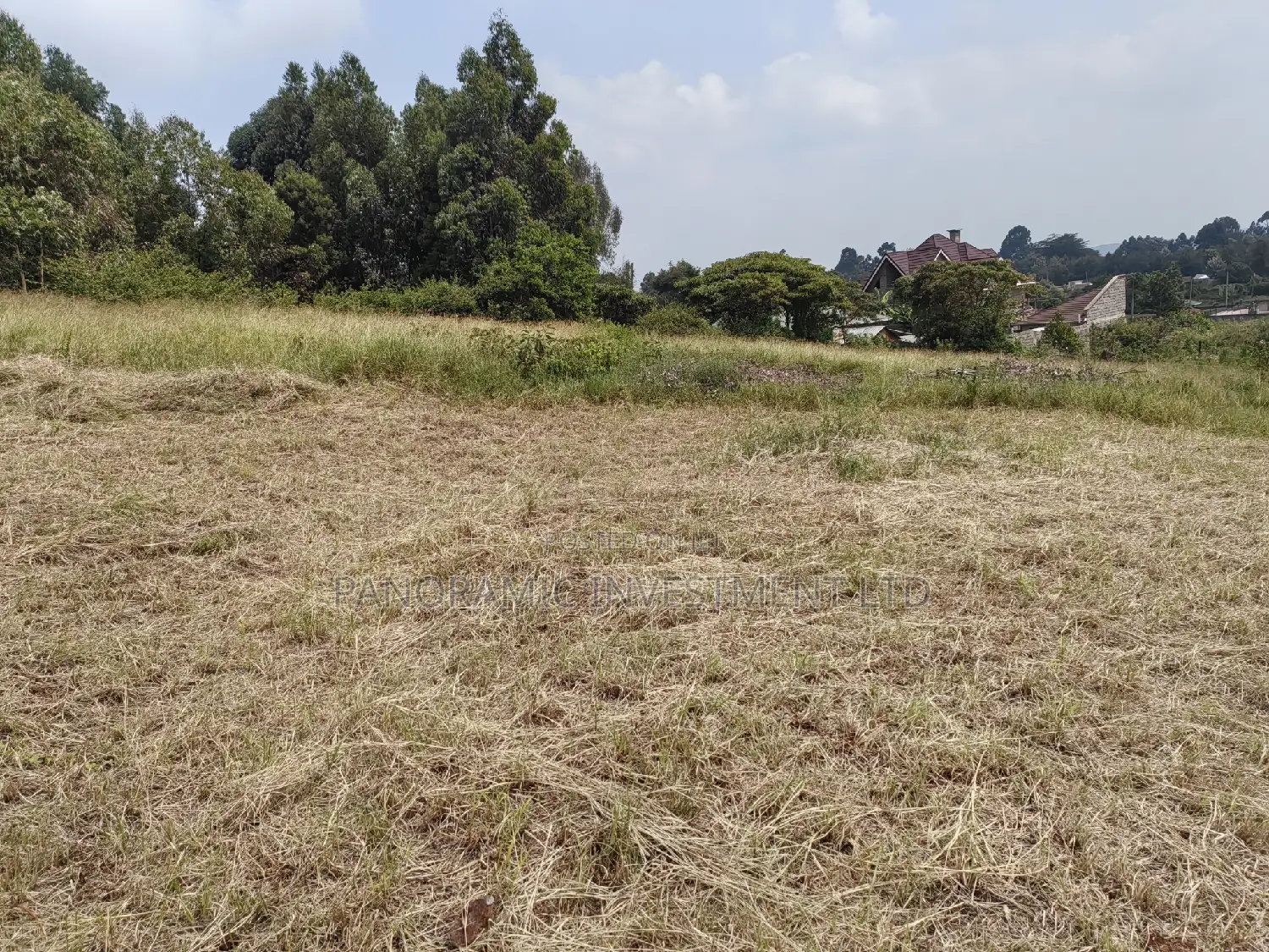 50x100 Plot in Lusegetti Kikuyu Kiambu.