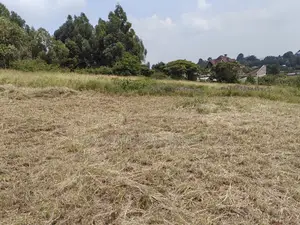 50x100 Plot in Lusegetti Kikuyu Kiambu.
