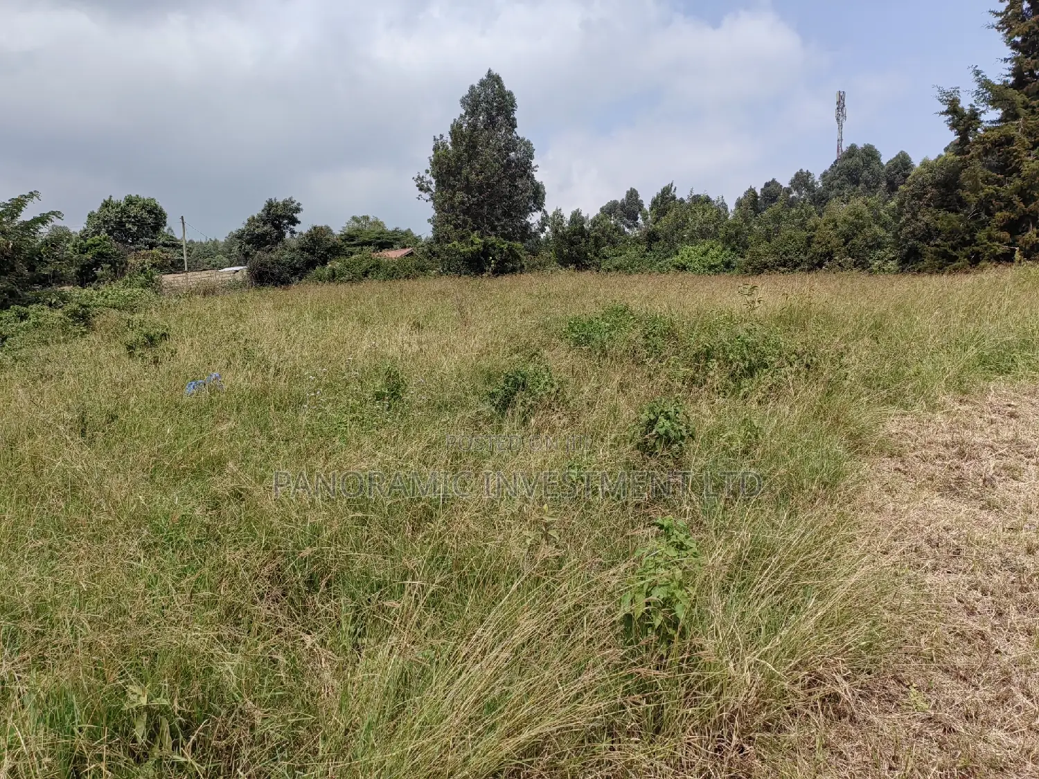 50x100 Plot in Lusegetti Kikuyu Kiambu.