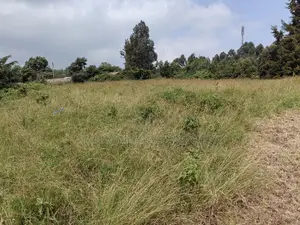 50x100 Plot in Lusegetti Kikuyu Kiambu.
