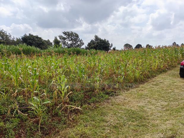 50x100 Plot in Lusegetti Kikuyu Kiambu. - thumbnail 6