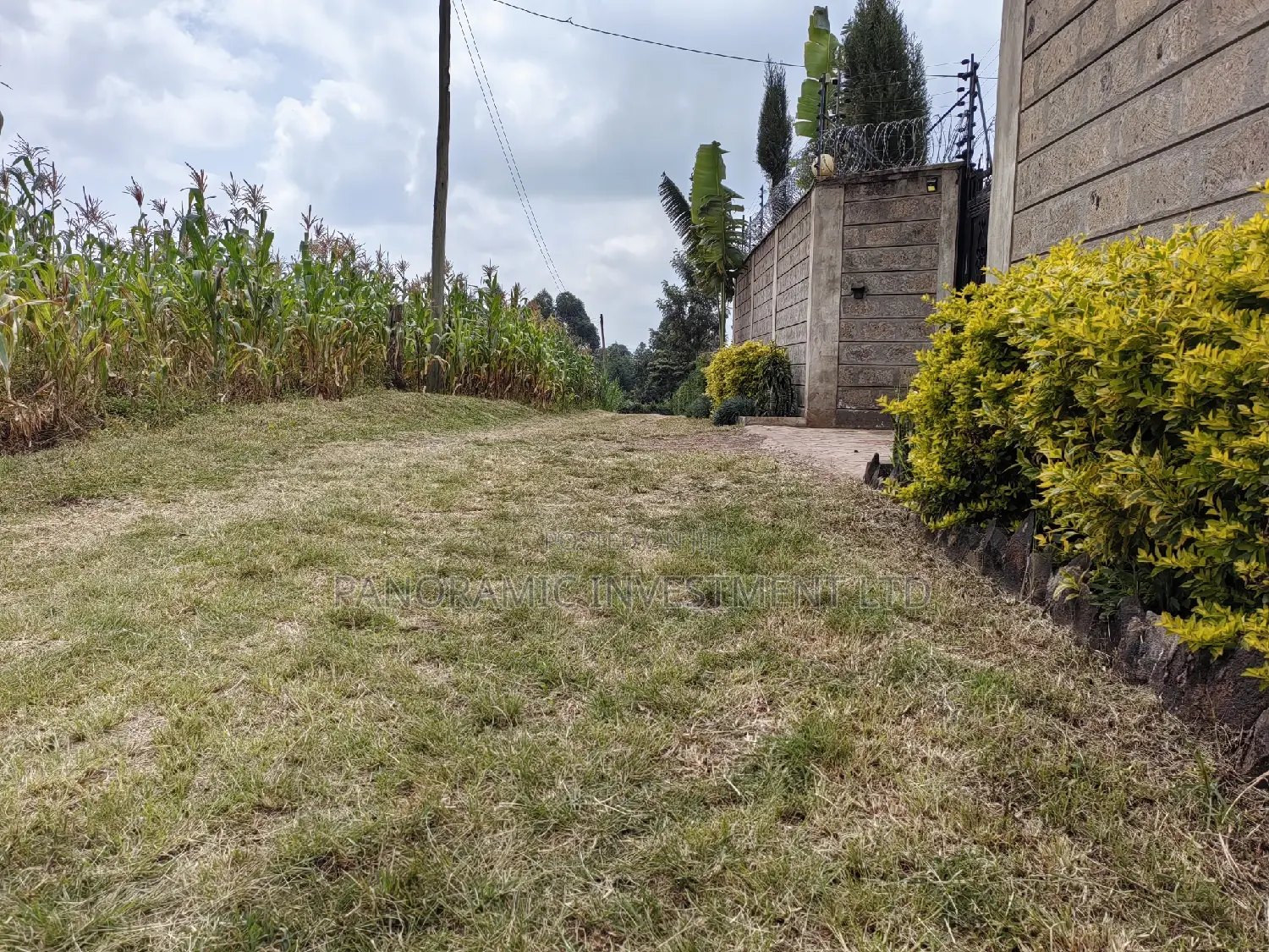 50x100 Plot in Lusegetti Kikuyu Kiambu.