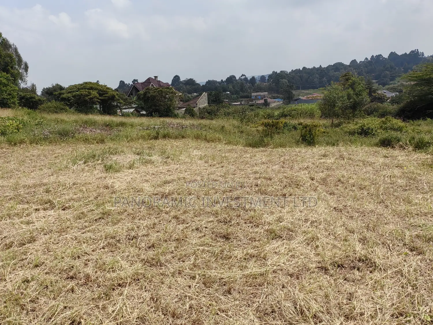 50x100 Plot in Lusegetti Kikuyu Kiambu.