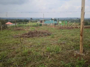 50by100 Plot For Sale In Kamangu Kikuyu Kiambu For Sale.