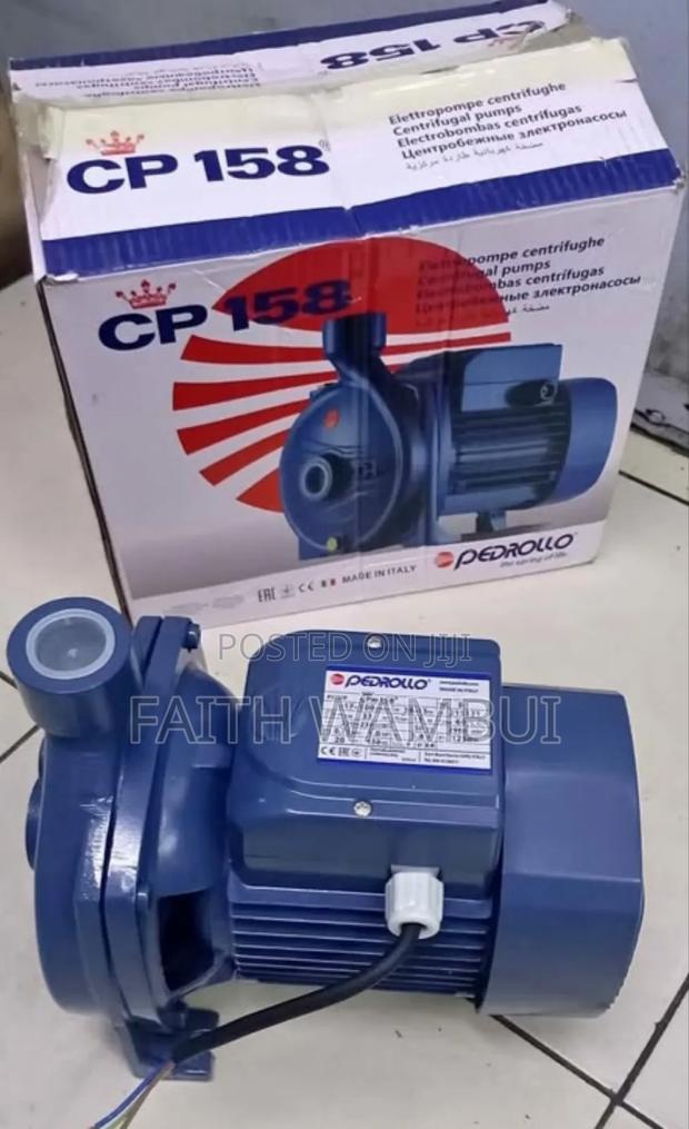 1 H.P Pedrollo Surface Water Pump/Surface Pedrollo Pump - main view