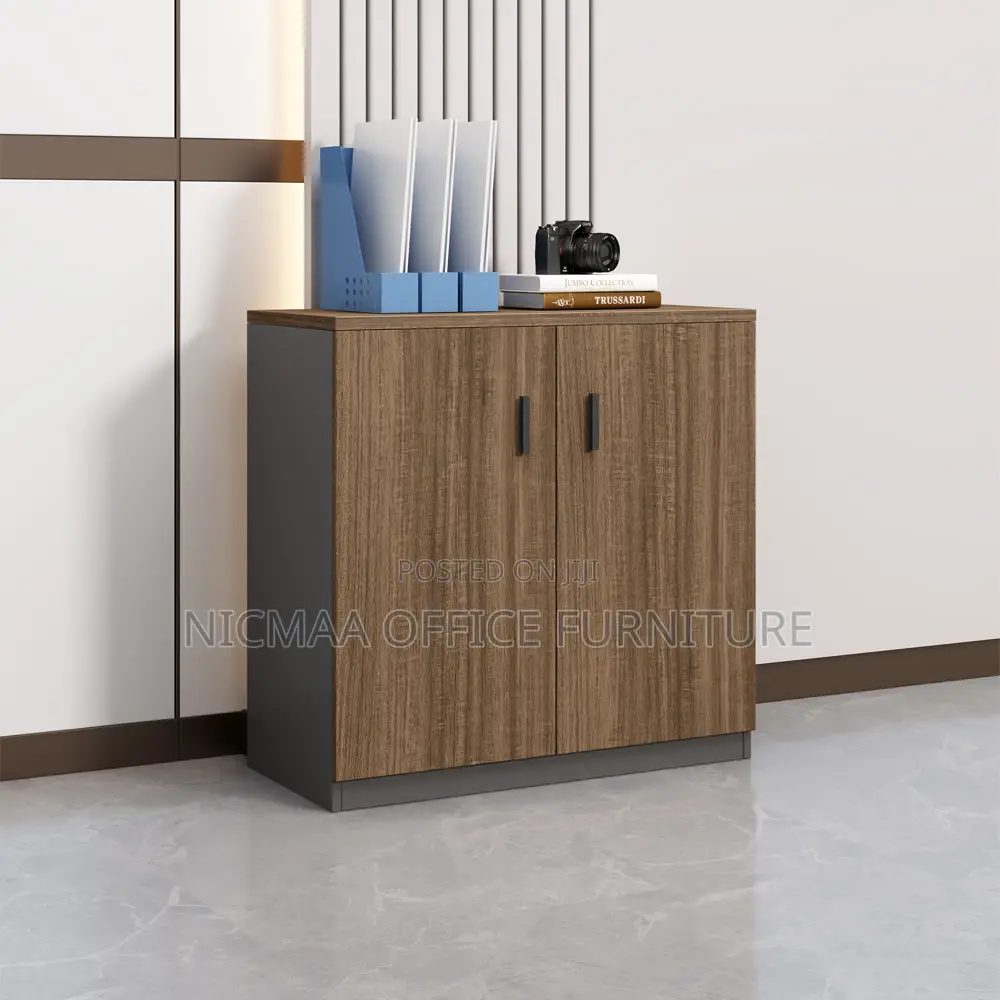 Wooden Cupboard With 2 Lockable Doors
