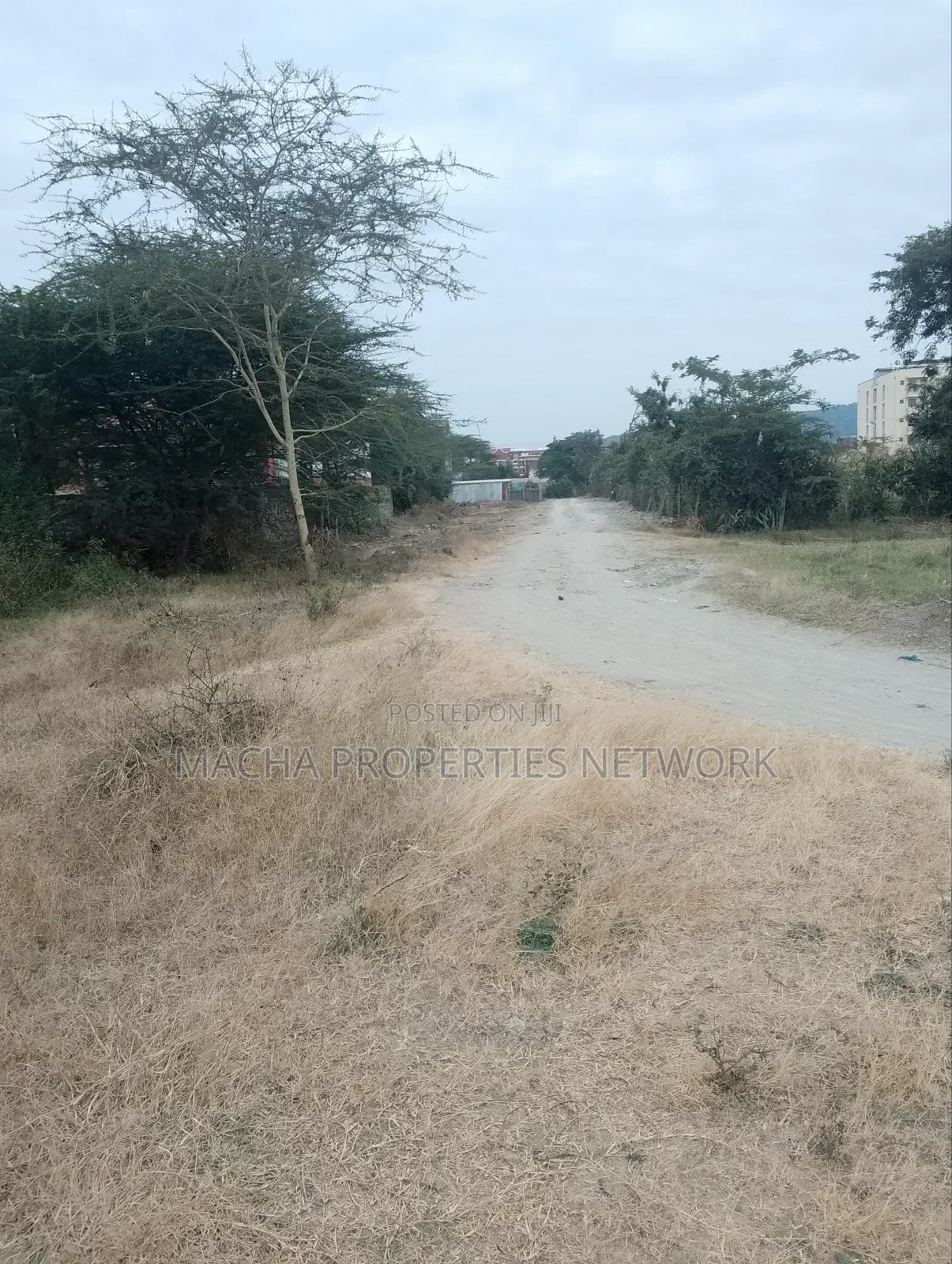 Prime Plot 40 by 90ft-Kenya Israel Price 2.5m