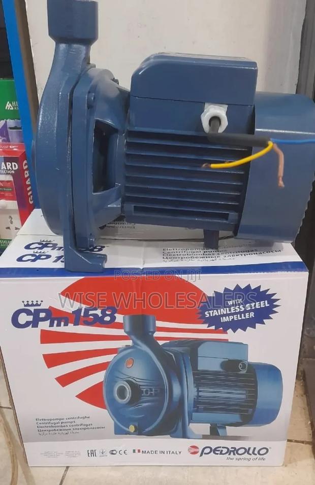 Pedroll 1hp Booster Pump