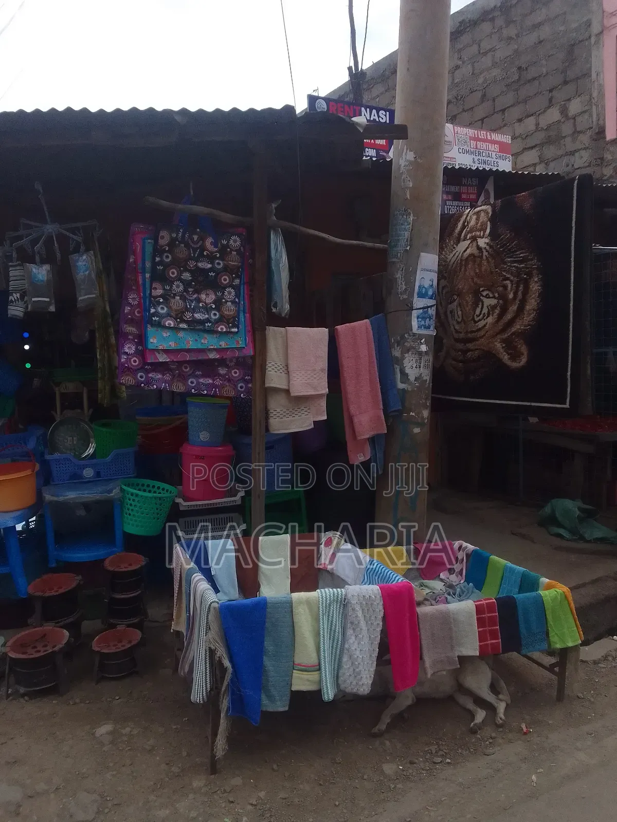 Plot for Sale