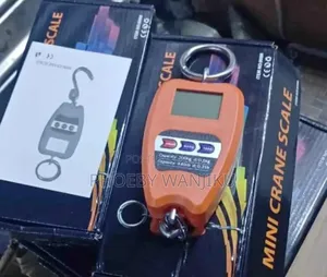 Mini Crane Scale