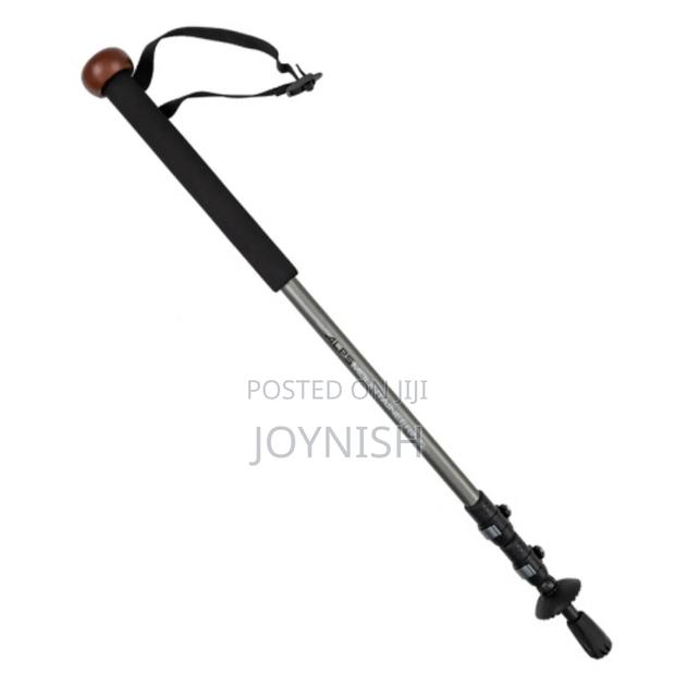 Hiking/ Trekking Pole - main view
