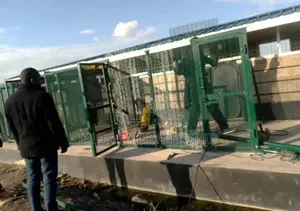 Galvanized Green Anticlimb Fence 
