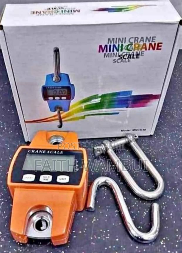 300kg Mini Crane Scale/Hanging Scale 300kg - main view
