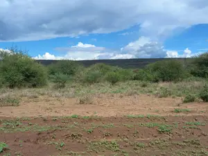400 Acres Block Near Simba Cement Is Available for Sale