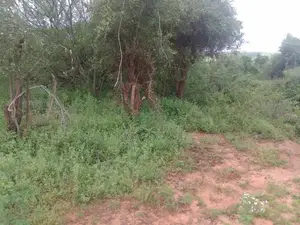 400 Acres Block Near Simba Cement Is Available for Sale