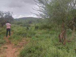 400 Acres Block Near Simba Cement Is Available for Sale