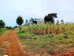 Ruiru Twiga - thumbnail 2