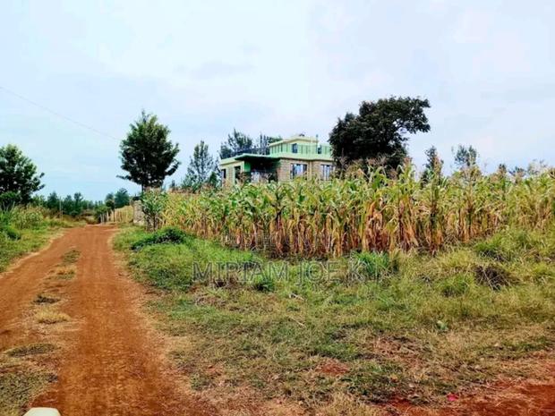 Ruiru Twiga - main view