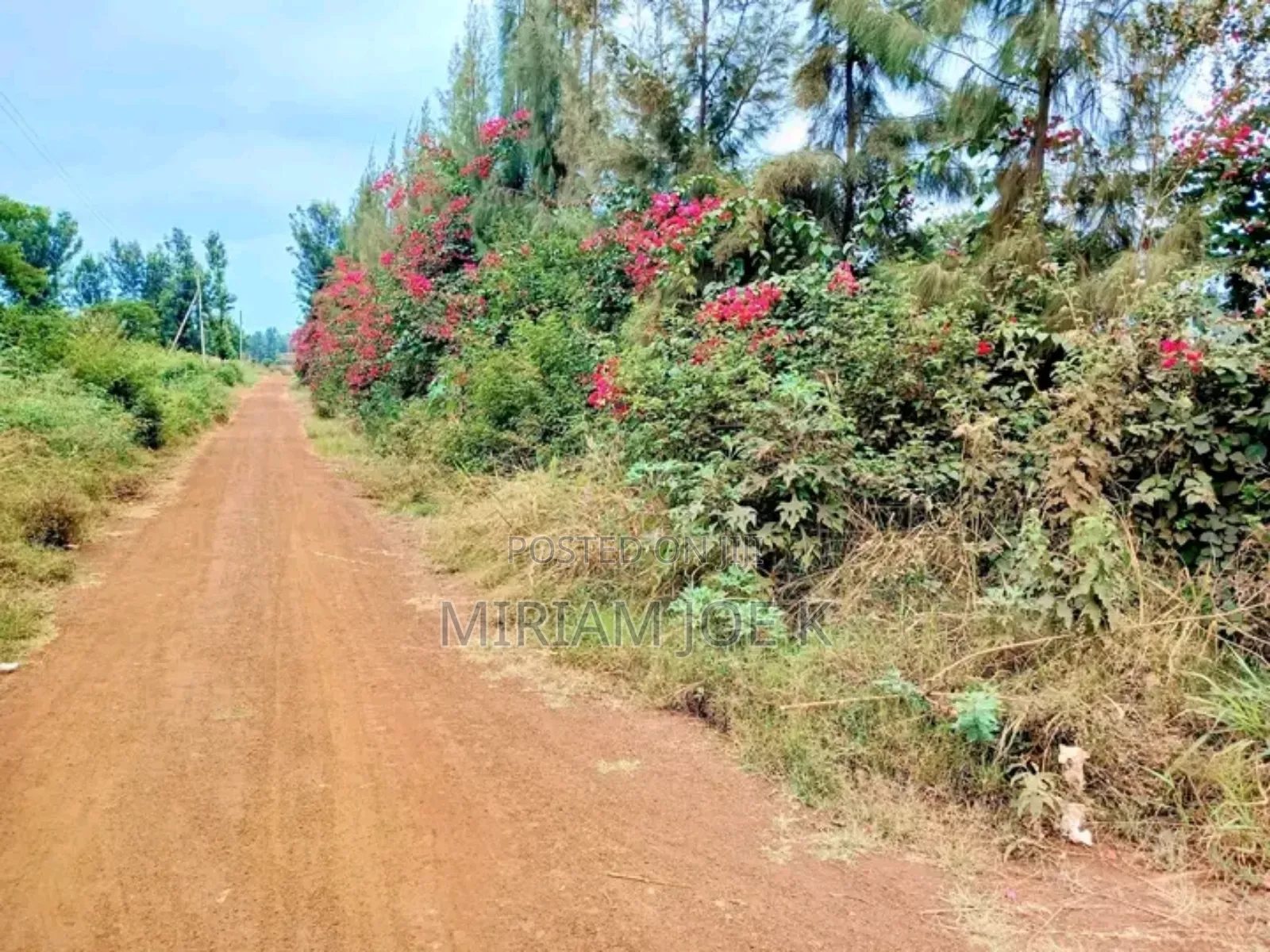 Ruiru Twiga