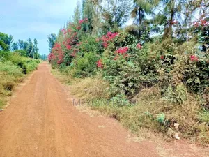 Ruiru Twiga