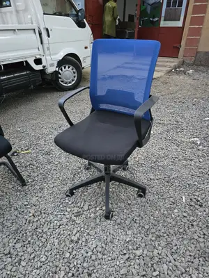 Swivel Ergonomic Office Chair