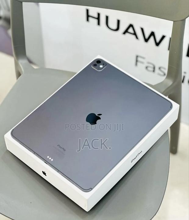 Apple iPad Pro 13 (2024) 256 GB Gray - thumbnail 3