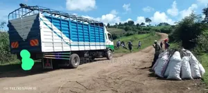 Open Body Trick With Good Hema Available for Transport