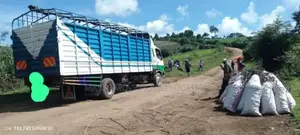 Open Body Trick With Good Hema Available for Transport