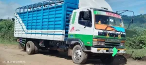 Open Body Trick With Good Hema Available for Transport