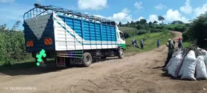 Open Body Trick With Good Hema Available for Transport