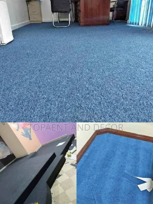 Noise Absorbing Full Room Wall to Wall Carpet