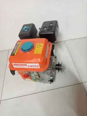 High Quality Petrol Engine Astramilano 7.5hp