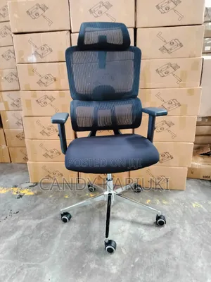 Orthopaedic Boss Chair