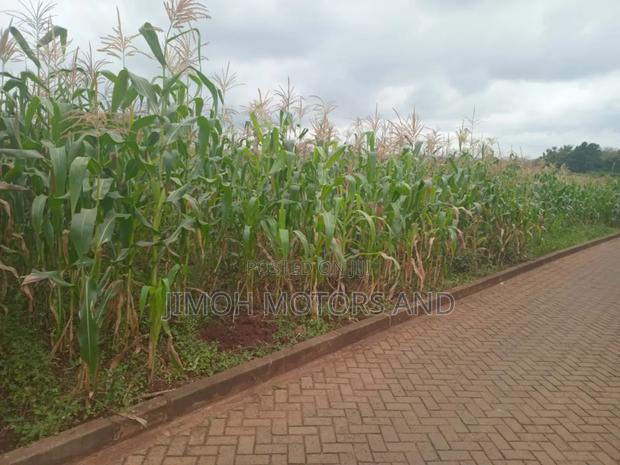 Land in Kitusuru for Sale - thumbnail 3