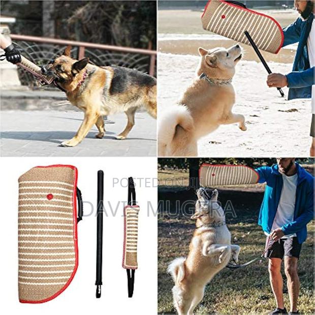 Professional Training Equipment, Biting, Interactive, Puppy - main view