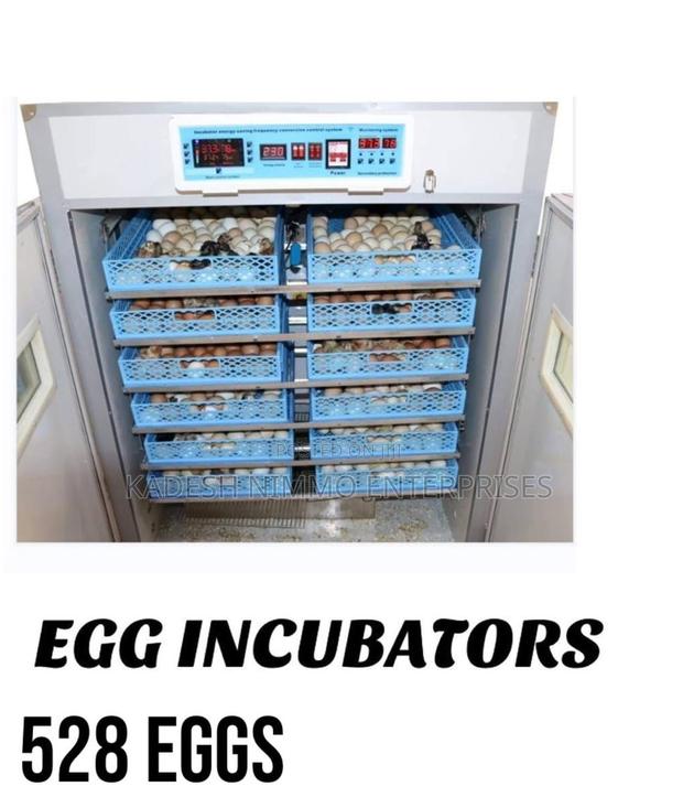 Heavy Duty 528-egg Hatchery Machine – Dual Power Compatible - main view