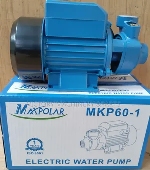Max Polar Booster Pump 0.5hp