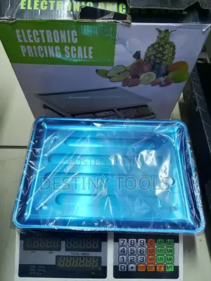 Electronic Pricing Scale 40kg